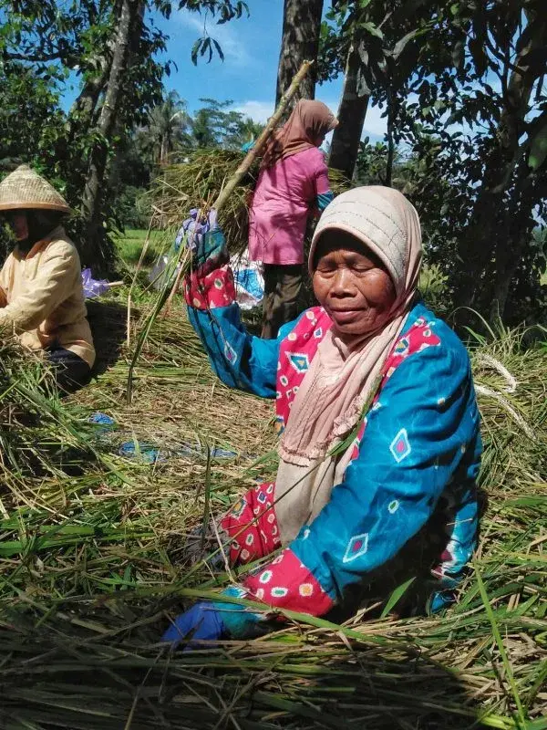 Long-term migration is prevalent in Indonesia as opposed to short-term migration 